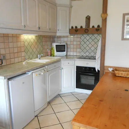 Apartment Tres Bel Duplex Spacieux - 8 Pers, Animaux Admis - Fr-1-516-17 Les Deux Alpes