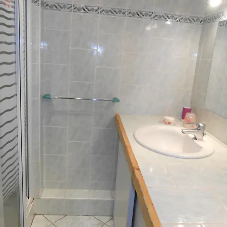 Tres Bel Duplex Spacieux - 8 Pers, Animaux Admis - Fr-1-516-17 * Les Deux Alpes